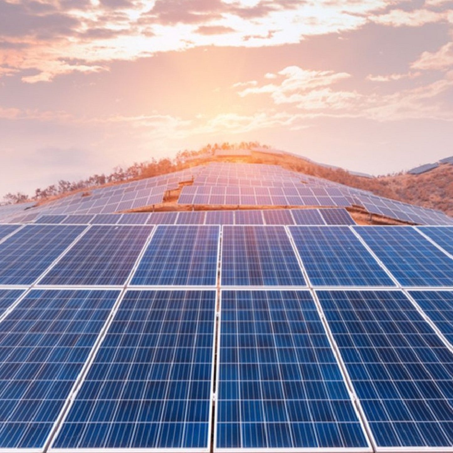 Orwind O1701 Poly Solar Panel - 385 Watt