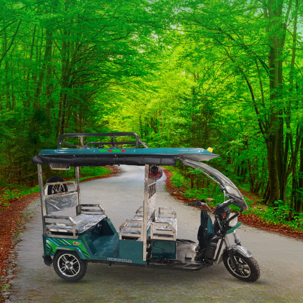 Orwind EV1101 E-Rickshaw