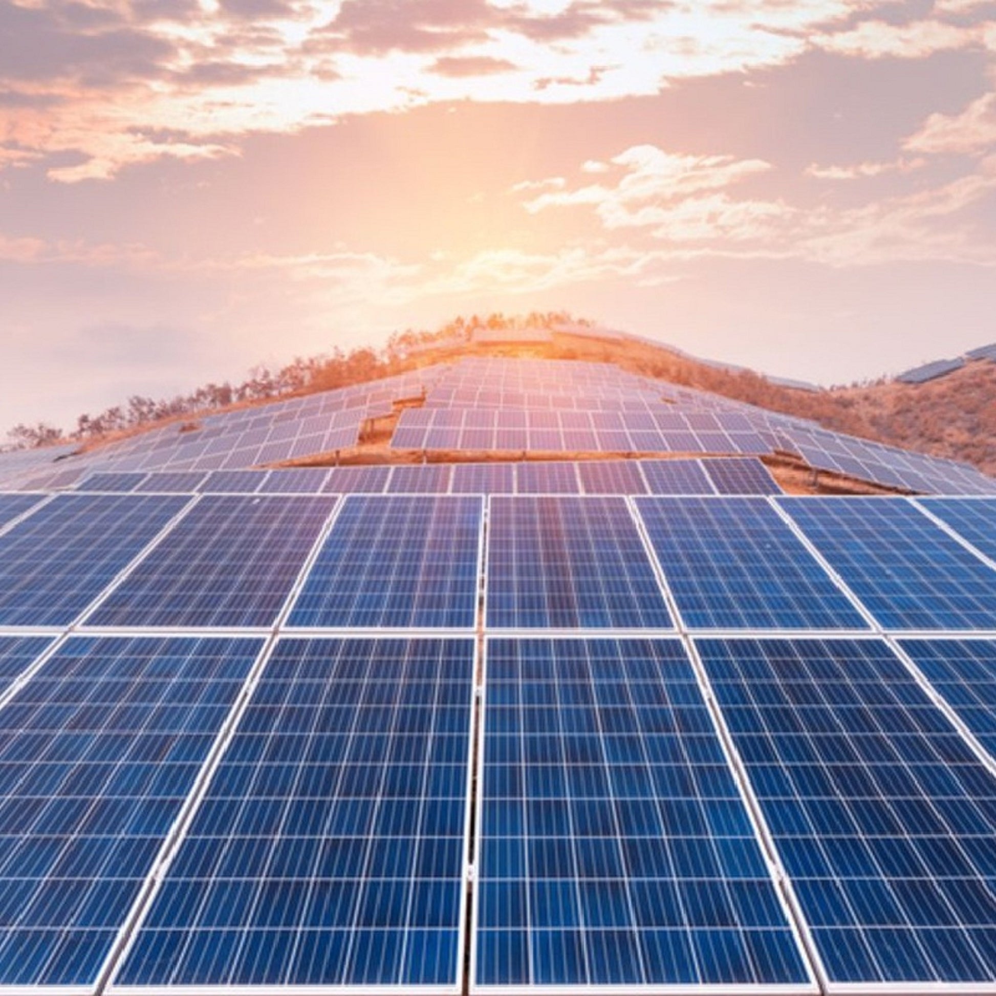 Orwind O1701 Poly Solar Panel - 385 Watt
