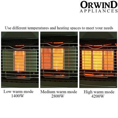 Orwind W1003